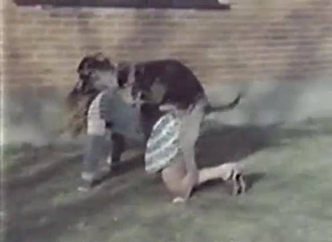 Video :Outdoor dog sex of girl getting attacked and fucked by dog